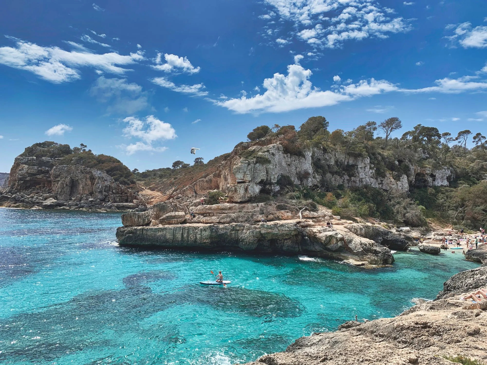 Turquoise baai aan de rotskust van Mallorca (sfeerbeeld van de bestemming, niet het resort)